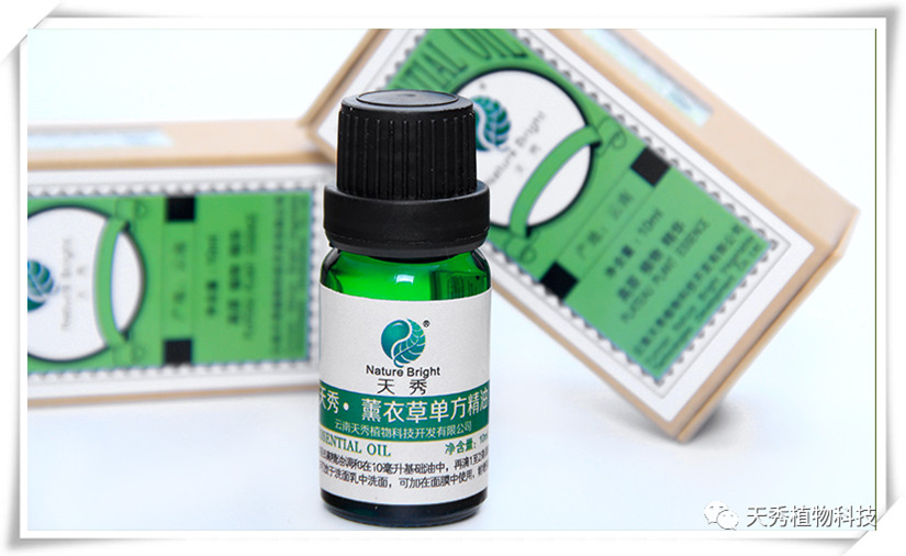 薰衣草单方精油