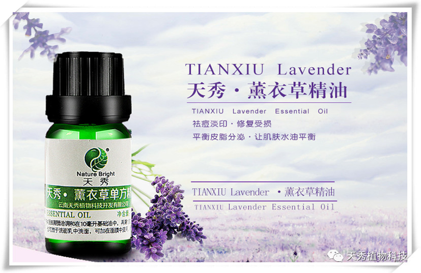 薰衣草单方精油