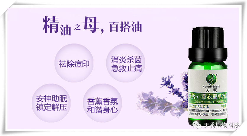 薰衣草单方精油